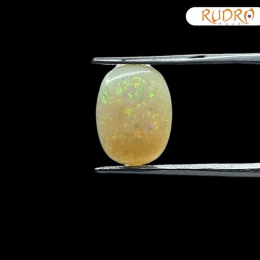 opal-5.80-CT-SP-C.jpg