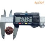 6 Mukhi Rudraksha Nepal (20.79 Mm) 8 6-Mukhi-Rudraksha-Nepal-20.79-Mm-Op-C.jpg