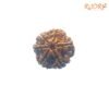 6 Mukhi Rudraksha Nepal (20.86 Mm) 13 6-Mukhi-Rudraksha-Nepal-20.86-Mm-Rp-C.jpg
