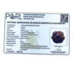 6 Mukhi Rudraksha Nepal ( 21.90 MM)
