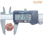 6 Mukhi Rudraksha Nepal ( 21.90 MM)