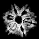 6 Mukhi Rudraksha Nepal (24.17 Mm)