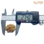 9 Mukhi Rudraksha Nepal - ( 27.40 Mm )