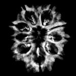 Collector 9 Mukhi Rudraksha Nepal - ( 27.40 Mm )