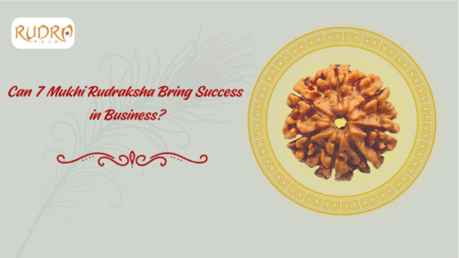 Can 7 Mukhi Rudraksha Bring Success In Business