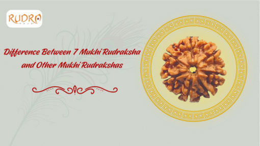 Difference Between 7 Mukhi Rudraksha And Other Mukhi Rudrakshas
