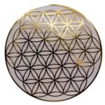 Exclusive Collection