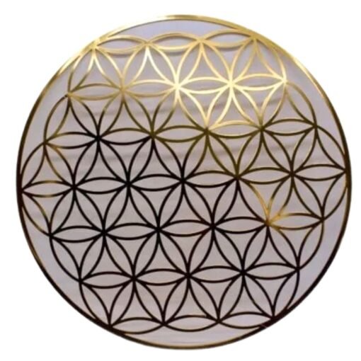 Exclusive Collection