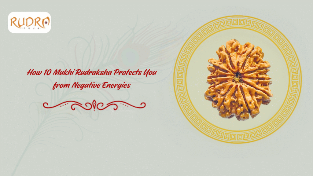 How 10 Mukhi Rudraksha Protects You From Negative Energies