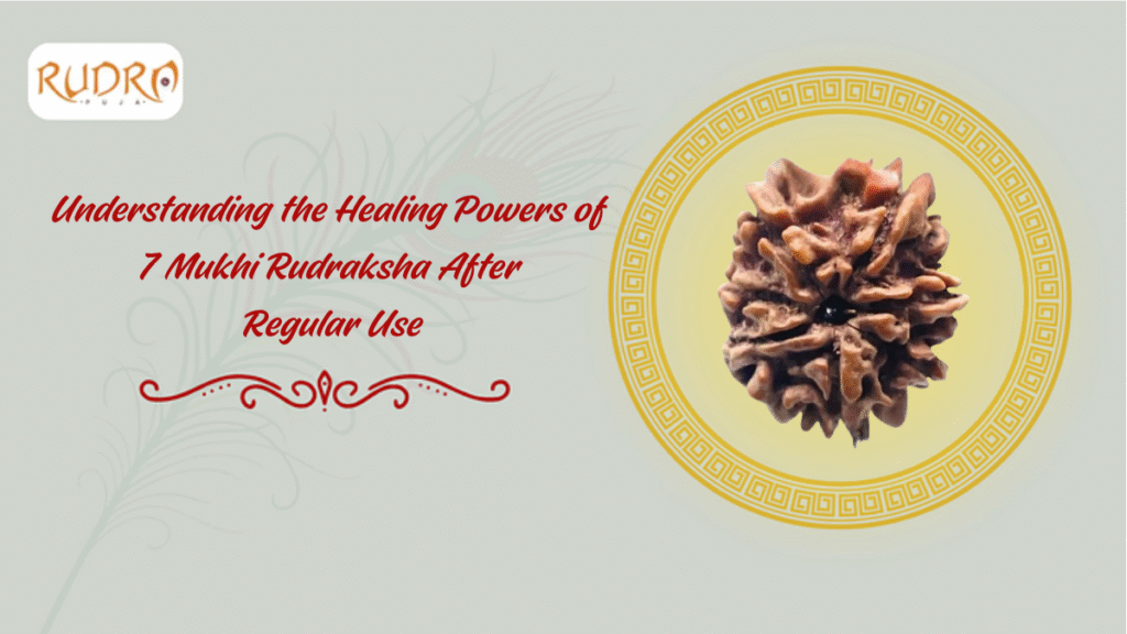 Understanding The Healing Powers Of 7 Mukhi Rudraksha After Regular Use