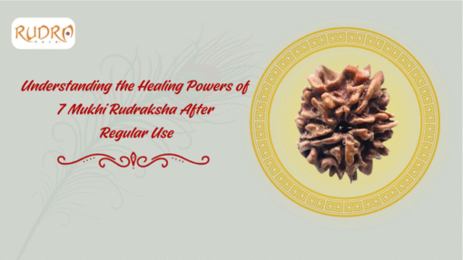 Understanding The Healing Powers Of 7 Mukhi Rudraksha After Regular Use