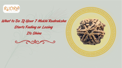 What To Do If Your 7 Mukhi Rudraksha Starts Fading Or Losing Its Shine