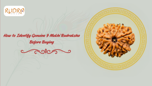 How To Identify Genuine 9 Mukhi Rudraksha Before Buying