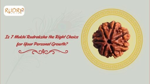 Is 7 Mukhi Rudraksha The Right Choice For Your Personal Growth