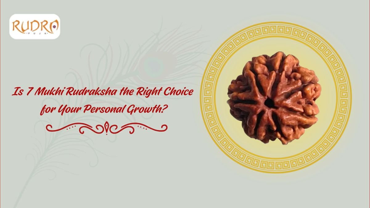 Is 7 Mukhi Rudraksha The Right Choice For Your Personal Growth