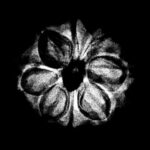 8 Mukhi Nepal Rudraksha - (17.75 MM)