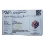 8 Mukhi Nepal Rudraksha - (17.75 MM)