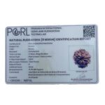 8 Mukhi Nepal Rudraksha - (18.95 MM)