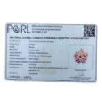 Double Ganesha Rudraksha - (18.10 MM)