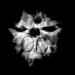 Double Ganesha Rudraksha - (18.82 MM)