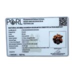 Double Ganesha Rudraksha - (18.88 MM) - (Rudrapuja)