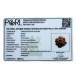 Double Ganesha Rudraksha - (19.26 MM)