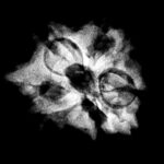 Double Ganesha Rudraksha - (19.37 MM)