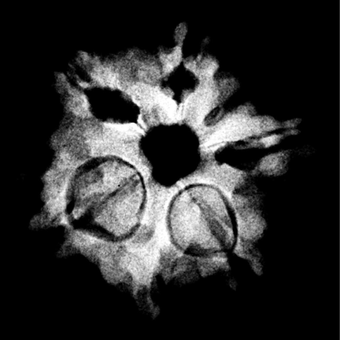 Double Ganesha Rudraksha - (19.98 MM) - (Rudrapuja)