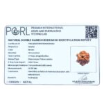 Double Ganesha Rudraksha - (20.58 MM) - (Rudrapuja)