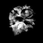 Double Ganesha Rudraksha - (20.71 MM)