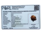 Double Ganesha Rudraksha - (20.95 MM) - (Rudrapuja)