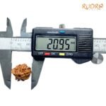 Double Ganesha Rudraksha - (20.95 MM) - (Rudrapuja)