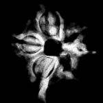 Double Ganesha Rudraksha - (23.43 MM) - (Rudrapuja)