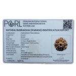 Original 8 Mukhi Nepal Rudraksha - (20.70MM)