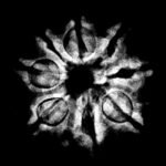 Original 8 Mukhi Nepal Rudraksha - (20.85 Mm)