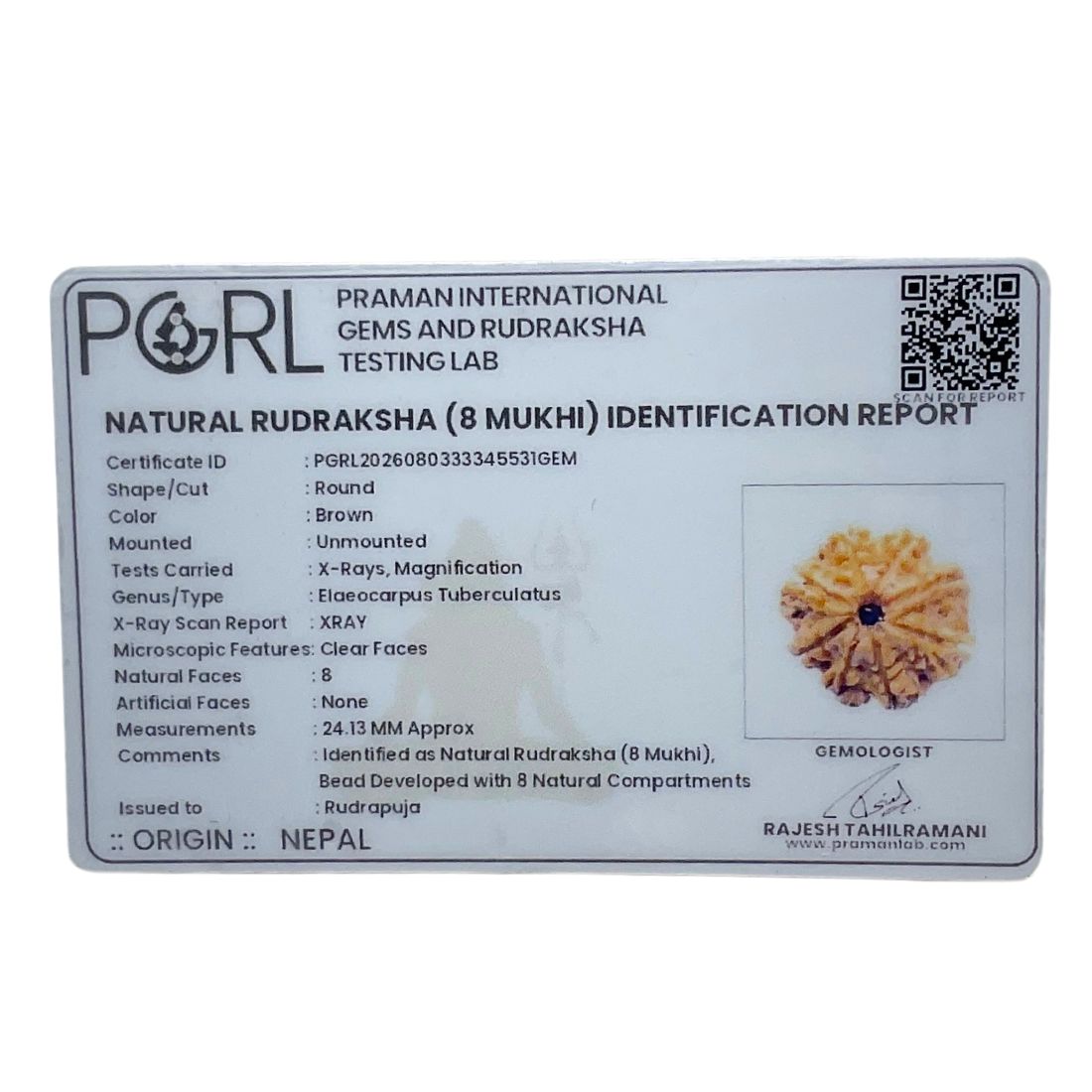 Original 8 Mukhi Nepal Rudraksha - (24.13 MM)