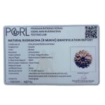 Original 8 Mukhi Nepal Rudraksha Small- (17.40 MM)