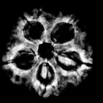 Collector Five Mukhi Rudraksha Nepal - (22.72 MM)