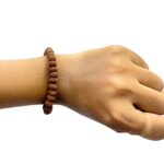 10 Mukhi Rudraksha Bracelet