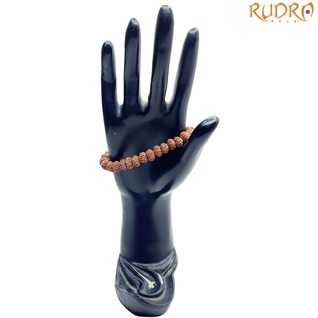 10 Mukhi Rudraksha Bracelet