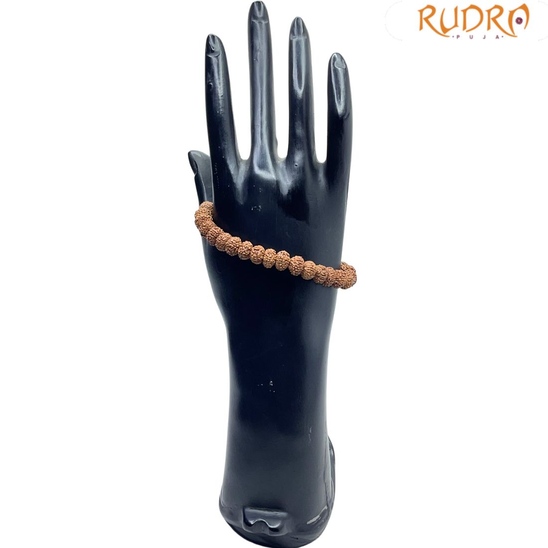 10 Mukhi Rudraksha Bracelet
