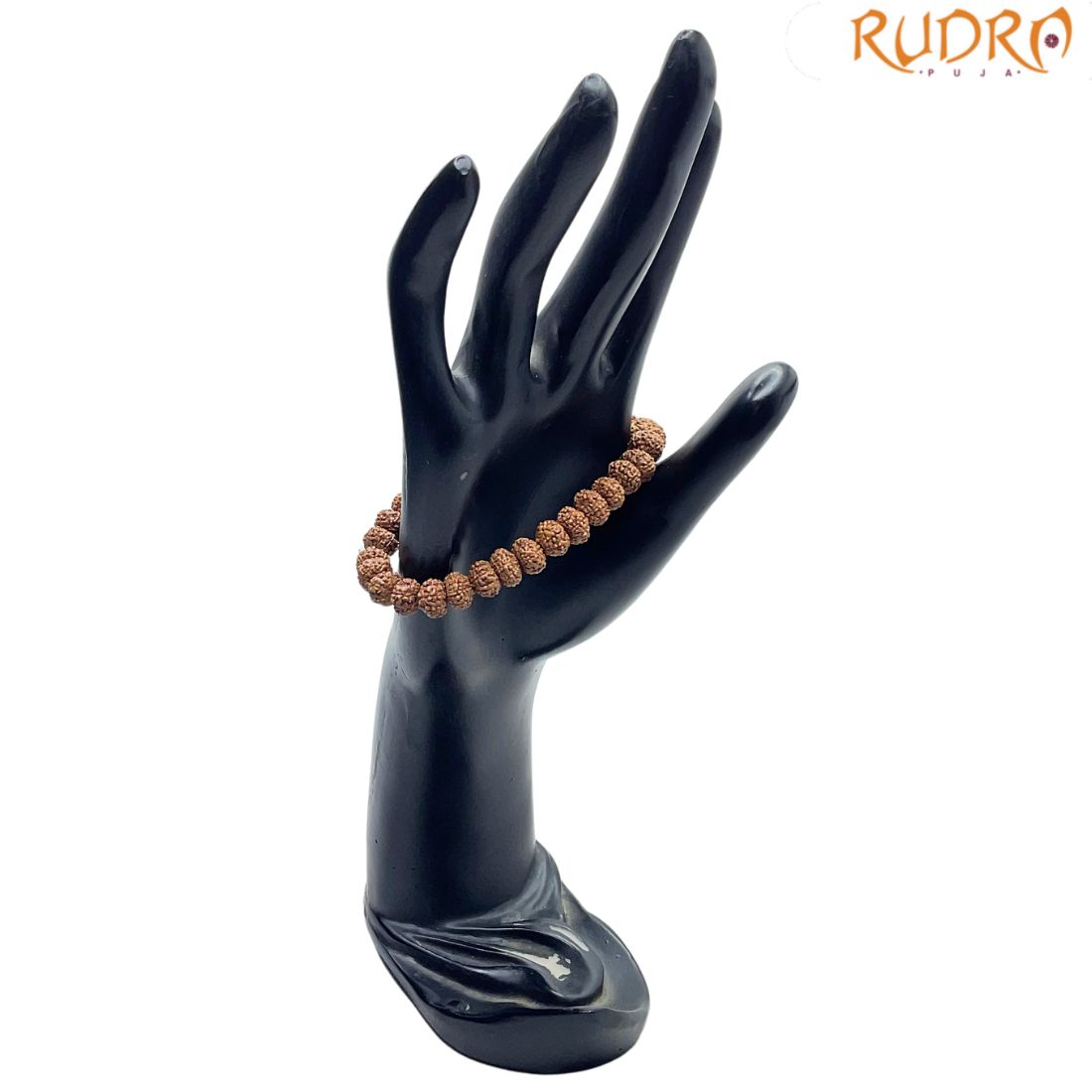 10 Mukhi Rudraksha Bracelet