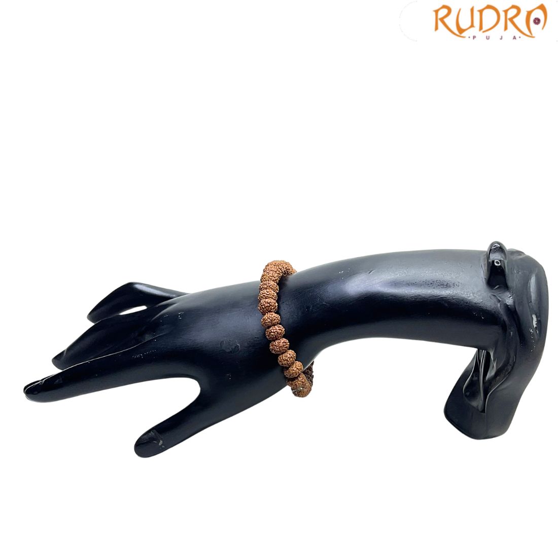 10 Mukhi Rudraksha Bracelet