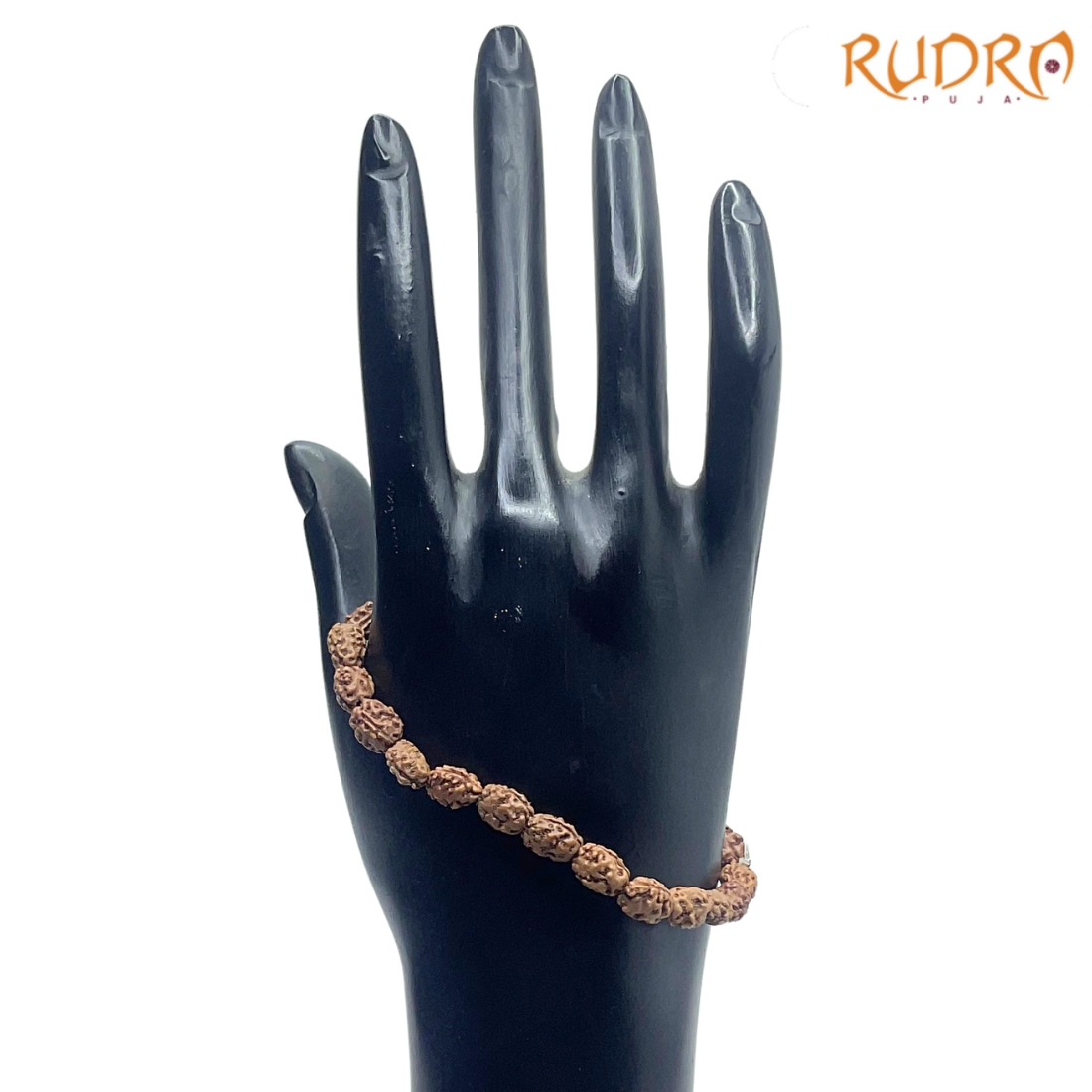 2 Mukhi Indonesian Rudraksha Bracelet - (Rudrapuja)