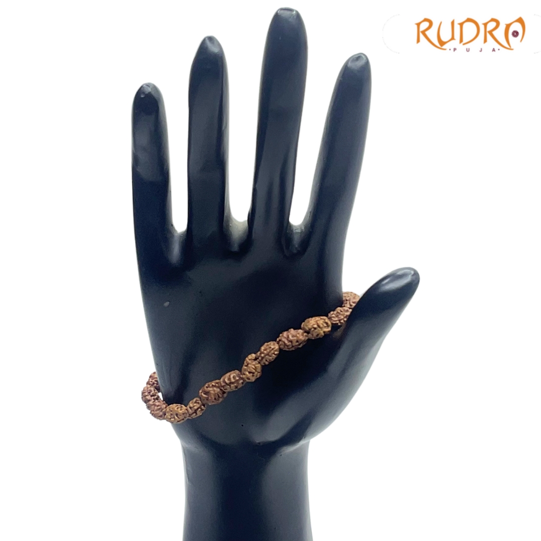 2 Mukhi Indonesian Rudraksha Bracelet - (Rudrapuja)