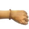 2 Mukhi Indonesian Rudraksha Bracelet - (Rudrapuja)
