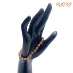 2 Mukhi Indonesian Rudraksha Bracelet - (Rudrapuja)