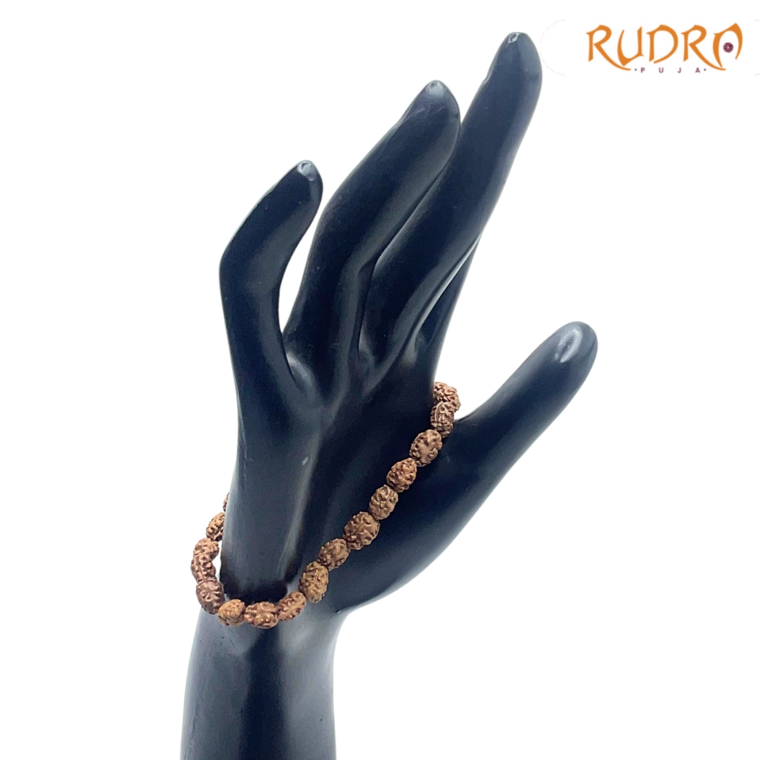 2 Mukhi Indonesian Rudraksha Bracelet - (Rudrapuja)