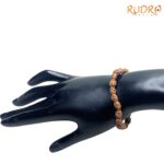 2 Mukhi Indonesian Rudraksha Bracelet - (Rudrapuja)