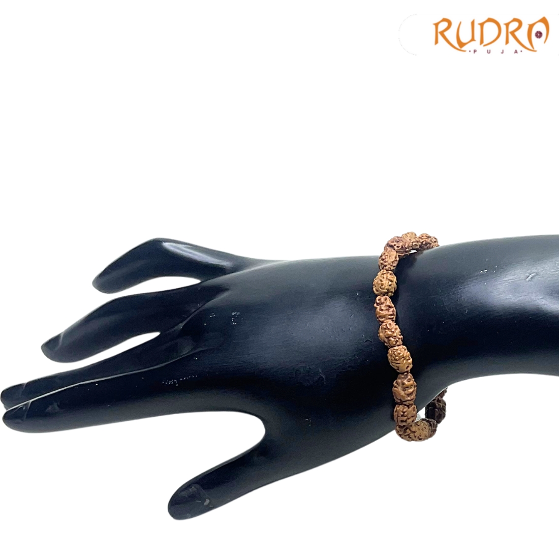 2 Mukhi Indonesian Rudraksha Bracelet - (Rudrapuja)